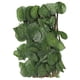 thumbnail image 1 of Valla de Setos Artificiales Seto de Hiedra Artificial Pantalla de Valla de Privacidad de Hiedra Artificial para Pantalla de Pared Jardín Al Aire Libre Decoración ANGGREK  Otros, 1 of 8