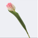 thumbnail image 1 of Xiao Hua 6 tulipanes artificiales, flores falsas, flores artificiales para decoración de bodas., 1 of 5