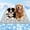 Grey, variant on Super-Absorbent Cooling Mat for Dogs 30"x20" Color-Changing Pet Cooling Pad, Stay Cool & Dry, Washable, Non-Slip Dog Bed Mat for Floors, Sofas, Kennels