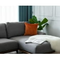 thumbnail image 4 of Gouchee Home Solid Velvet Coussin, 4 of 4