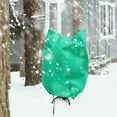 thumbnail image 7 of 80x60CM Non-Woven Tree Cover Freeze Protection Frost Blanket, 7 of 7