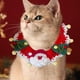 thumbnail image 1 of Mom's Best Collar navideño de punto para gatos, ajustable y desmontable, para perros y gatos pequeños y medianos, cuello de 13 a 19 cm, 1 of 6