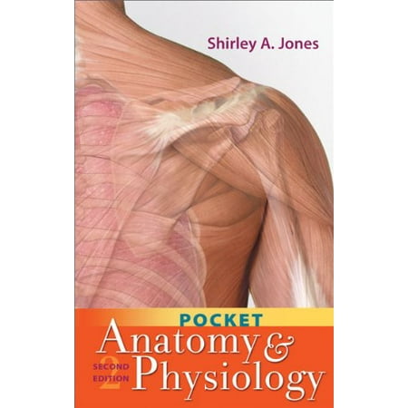 Pocket Anatomy and Physiology, Pre-Owned (Paperback)