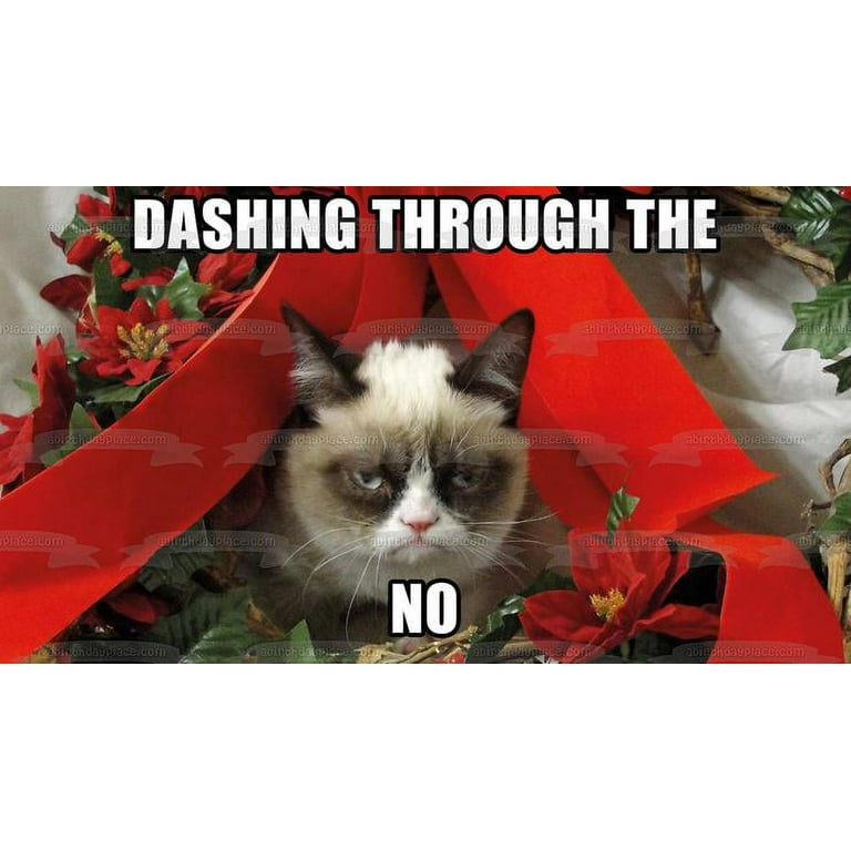 Angry Cat Christmas Meme Dashing Through the No Edible Cake