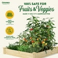 thumbnail image 3 of Greenes Fence 48"x 48"x 7" Beige Wood Raised Garden Kit, 3 of 8