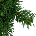 thumbnail image 3 of Northlight 6" Deluxe Dorchester Pine Artificial Mini Christmas Wreath - Unlit, 3 of 5