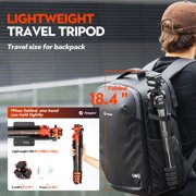 Fotopro X-Airfly Video 64.6 Carbon Fiber Tripod with Ball Head & Fluid Head, 5-Sec Lightweight Compact Camera Tripod Stand for Travel, Low Angel Shooting, Hidden Phone Clip, Max Load 10 lbs, Orange
