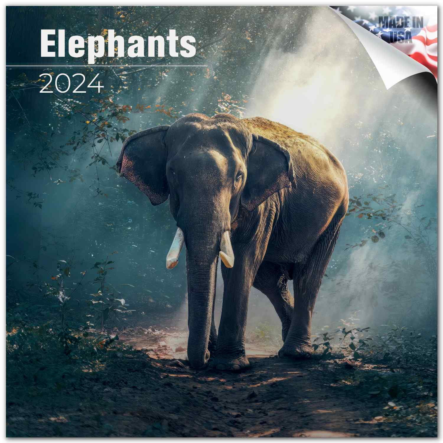 2023 2024 Elephants Calendar African Wildlife Monthly Wall Calendar