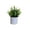 Green-D, variant on EQWLJWE Artificial Bonsai Tree Cloud Pine Bionic Plant Indoor Small Fake Plants 7.09*4.72(L*W)inch Living Room Desktop Landscape Decoration