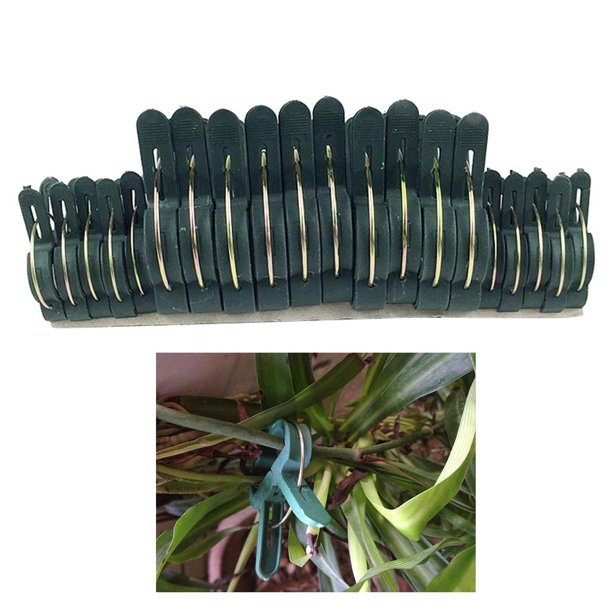20 clips de agarre de palanca de flores y plantas de jardinería suaves , herramienta segundo Cola Plant Clips Garden Ties