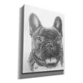 thumbnail image 2 of Epic Graffiti 'French Bulldog 3' by Barbara Keith, Canvas Wall Art, 26"x34", 2 of 8