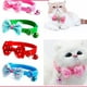 thumbnail image 2 of bow cat collar buckle adjustable dog Kitten Collar pet accessories Gao Jiahui unisex, 2 of 2