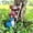 Gnome Ladder, variant on XIMEI Climbing Ladder Gnome Tree Faces Decor for Yard, Cute Gnome Garden Statue Art Resin Dwarf Sculpture Outdoor Decoration