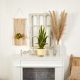 thumbnail image 2 of Nearly Natural 9774 27 in. Sansevieria Artificial Plant in Designer Bowl, 2 of 3