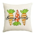 thumbnail image 2 of PONPRNGY Easter Throw Pillow Covers 17x17 1Pc Soft Spring Easter Pillow Covers Easter Bunny Egg Flower Carrot Cushion Covers Pillow Cases for Home Outdoor Sofa Couch Decoration, 2 of 6