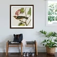 thumbnail image 3 of Art.com Avian Crop VI Art Print by John James Audubon, Brown Frame Wall Art, 38" x 38", 3 of 5