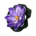 thumbnail image 4 of Yuarrent Flores artificiales de agua TureClos, flores de PE de tacto Real, flores decorativas de simulación para el hogar y la boda Decoración azul, 4 of 6