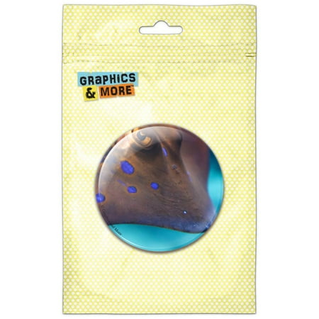 

Stingray Fish Underwater Ocean Diving Dive Refrigerator Button Magnet