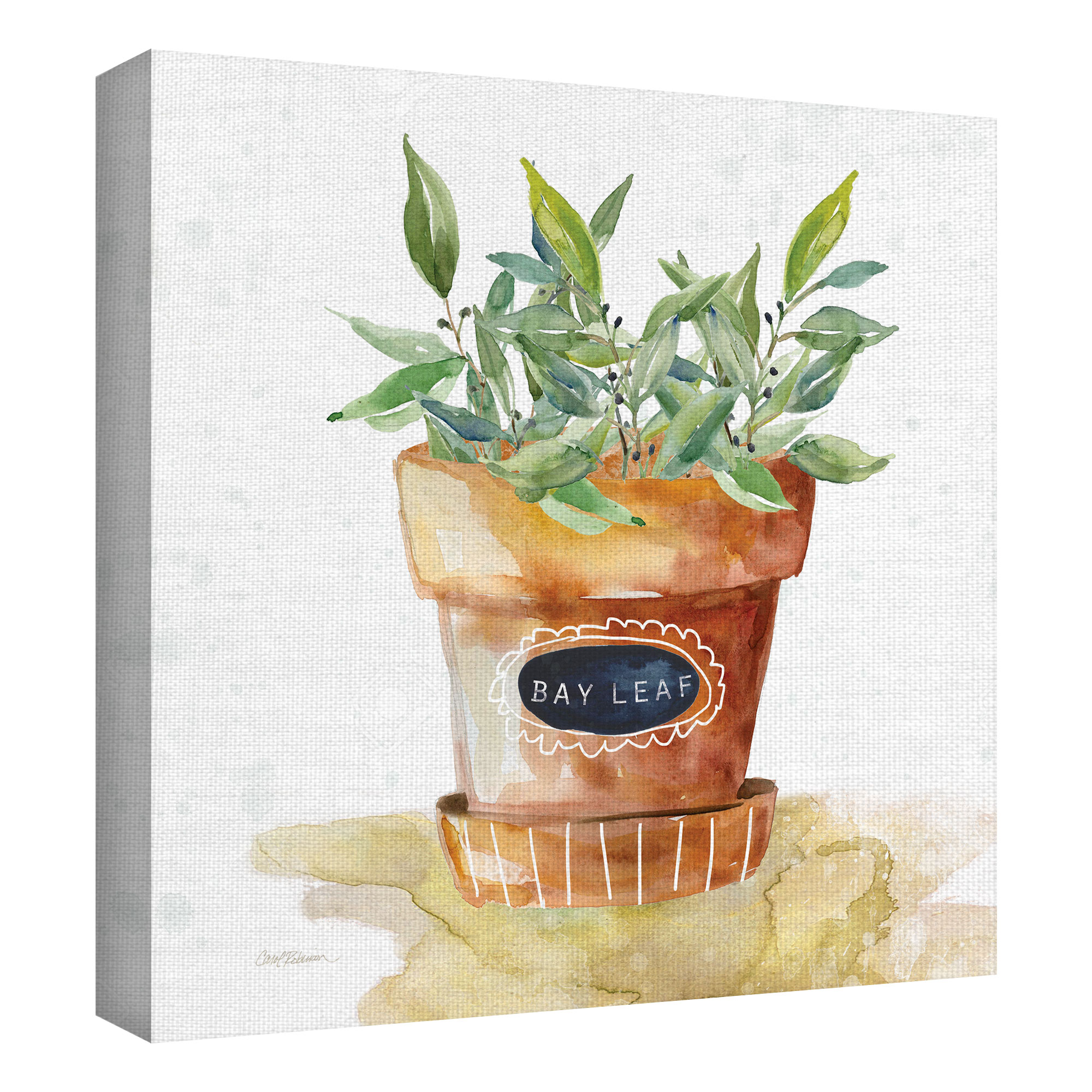 Masterpiece Art Gallery Potted Bay Leaf By Carol Robinson Canvas Art Print 12" x 12"