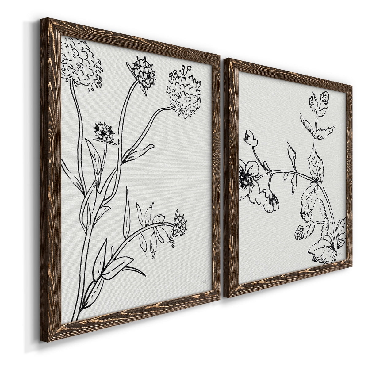 Botanical Study I - Premium Framed Canvas 2 Piece Set - Ready to Hang