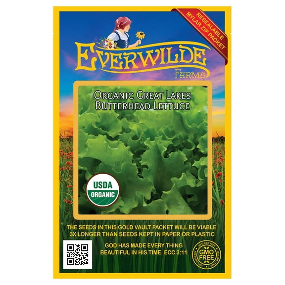 Everwilde Farms - 500 Organic Great Lakes Butterhead Lettuce Seeds - Gold Vault Jumbo Bulk Seed Packet