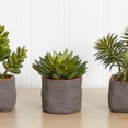 thumbnail image 6 of Nearly Natural 10” Artificial Succulent Trio in Unique Ceramic Planter (3 Count), 6 of 6