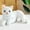 A, variant on SIfdSeng Christmas Toys for Kids 30Cm Cute Real Life Plush Cats Doll Stuffed Lying Cat Plush Toys for Children Doll Kids Birthday Gift Home Decoration Kids Toys for Girls Mystery Toys
