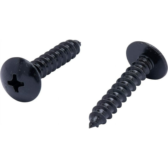 ORUYROP #10 X 1" Stainless Truss Head Phillips Wood Screw, (25pc), Black Xylan Coated 18-8 (304) Stainless Steel Screws, by