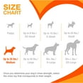 thumbnail image 5 of Nylabone Puppy Chew Teething Bone & Ring Bone Chew Toy Chicken Medium (2 Count), 5 of 14