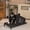 Black, variant on Indoor Dog Treadmill for Medium Dogs - Pet Pacer Treadmill with Remote Control for Exercise, Running & Walking - Quiet Motor, Non-Slip Running Belt for Home Use, Black