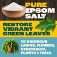 thumbnail image 3 of Pennington Epsom Salt Plant Food Fertilizer, 7 lb., 3 of 12
