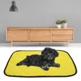 thumbnail image 3 of Fosa Car Summer Pet Mat, Pet Mat, Home For Dogs Cats, 3 of 8