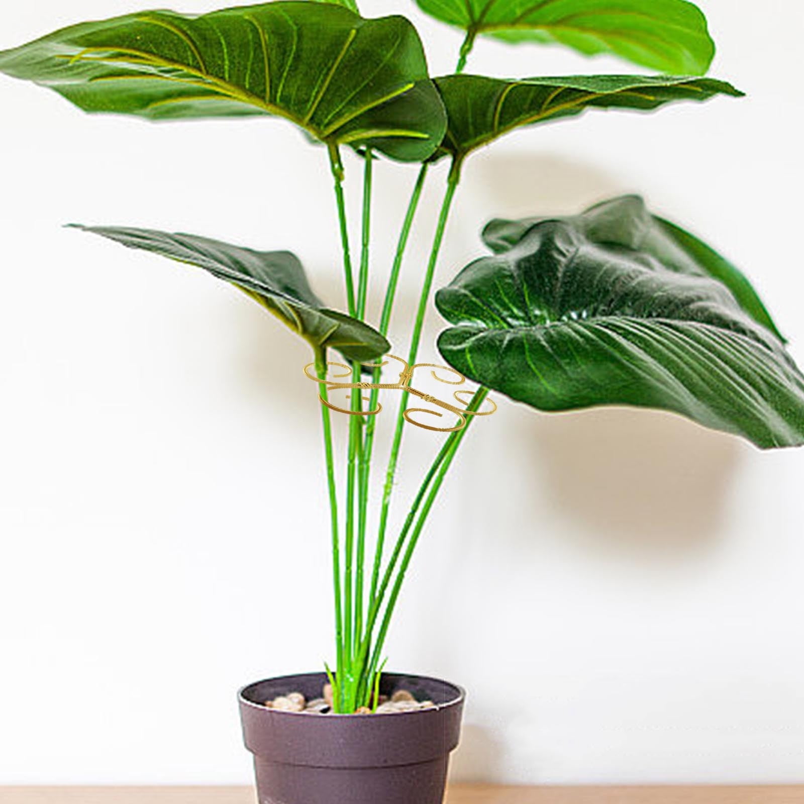 Tao Tao 3Pcs Monstera Plant Support, Iron Plant Stem Support For Healthy  Plant Growth, Unique Design Turtle Shell Bamboo Clamp Set, Reusable  Climbing Plant Holder For Plant Stabilization Support - Walmart.com