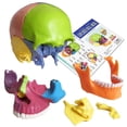 thumbnail image 4 of Modelo de calavera de anatom&iacute;a de 15 partes, anatom&iacute;a humana despiezada, desmontable, tama&ntilde;o palma, mini modelo de calavera m&eacute;dica de color humano, equipo d, 4 of 7