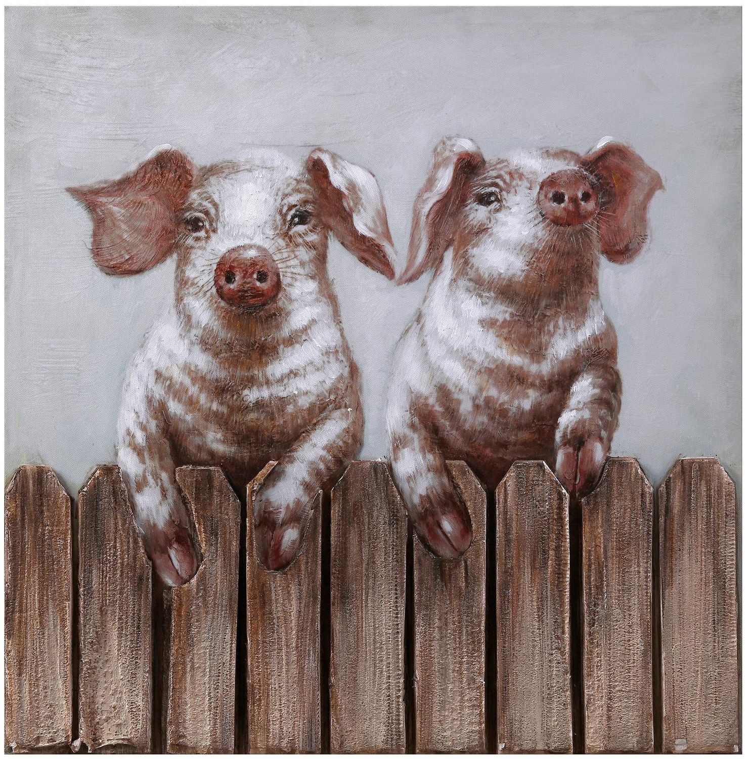 24x24 porcs sur une clôture
