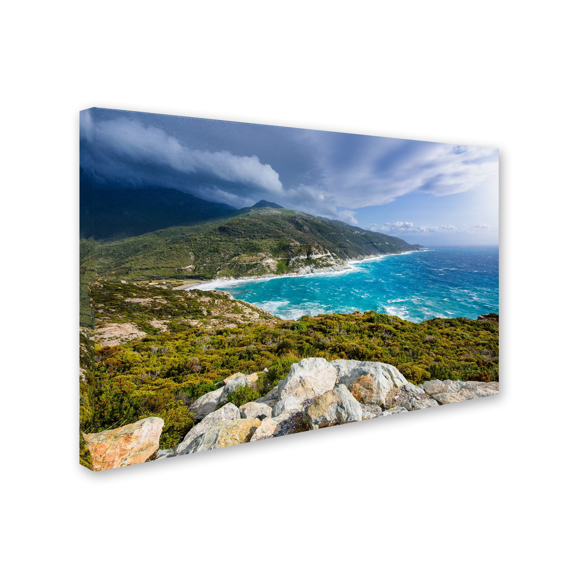 Trademark Fine Art 'Wilder' Canvas Art by Philippe Sainte-Laudy