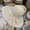 Rafie grass lace yarn rice color, variant on Straw Hat Female Sunshine Sunscreen Big Eaves Ins, Small Fresh Spring Summer Out Of The Beach Vacation Sweetness, Sweet Forest, Versatile