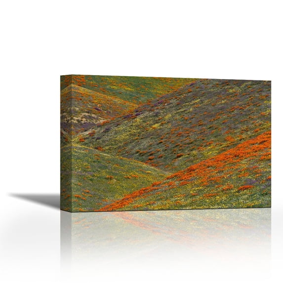 Wildflowers, Tehachapi Hills near Gorman, California - Contemporary Fine Art Giclee on Canvas Gallery Wrap - wall décor - Art painting - 34 x 23 Inch - Ready to Hang