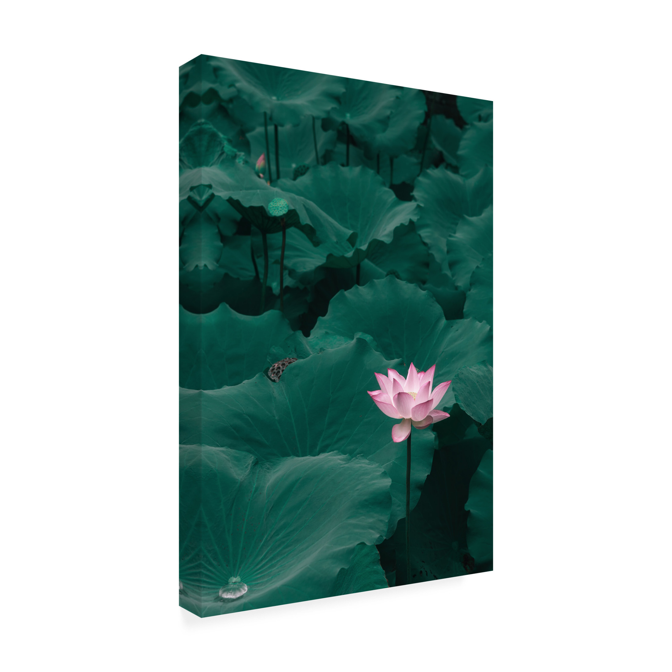 Canvas Wall Art - ShutterLore 'Outstanding' Wall Art for Living Room, Bedroom, or Office D?cor by Trademark Fine Art - 16 x 24 Inches