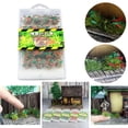 thumbnail image 3 of Racimo DIY materiales Modelo de paisaje estático Mechones de 03 Zulema Micro paisaje de hierba, 3 of 8