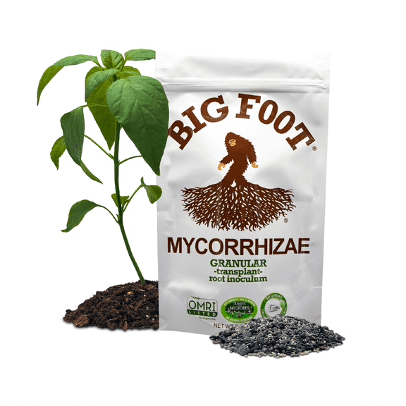 Big Foot Granular Mycorrhizae - Double Your Plant Size – Easy to Use – Made in USA – Treats 240 Plants (60,000 mycorrhizal Spores) 2 Pounds