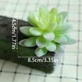 thumbnail image 4 of Artificial flowers,Artificial Succulents Premium Succulent Plants Artificial Indoor Outdoors – Realistic Faux For Home DIY Décor – Small Desert Plastic Cacti Succulants, 4 of 9