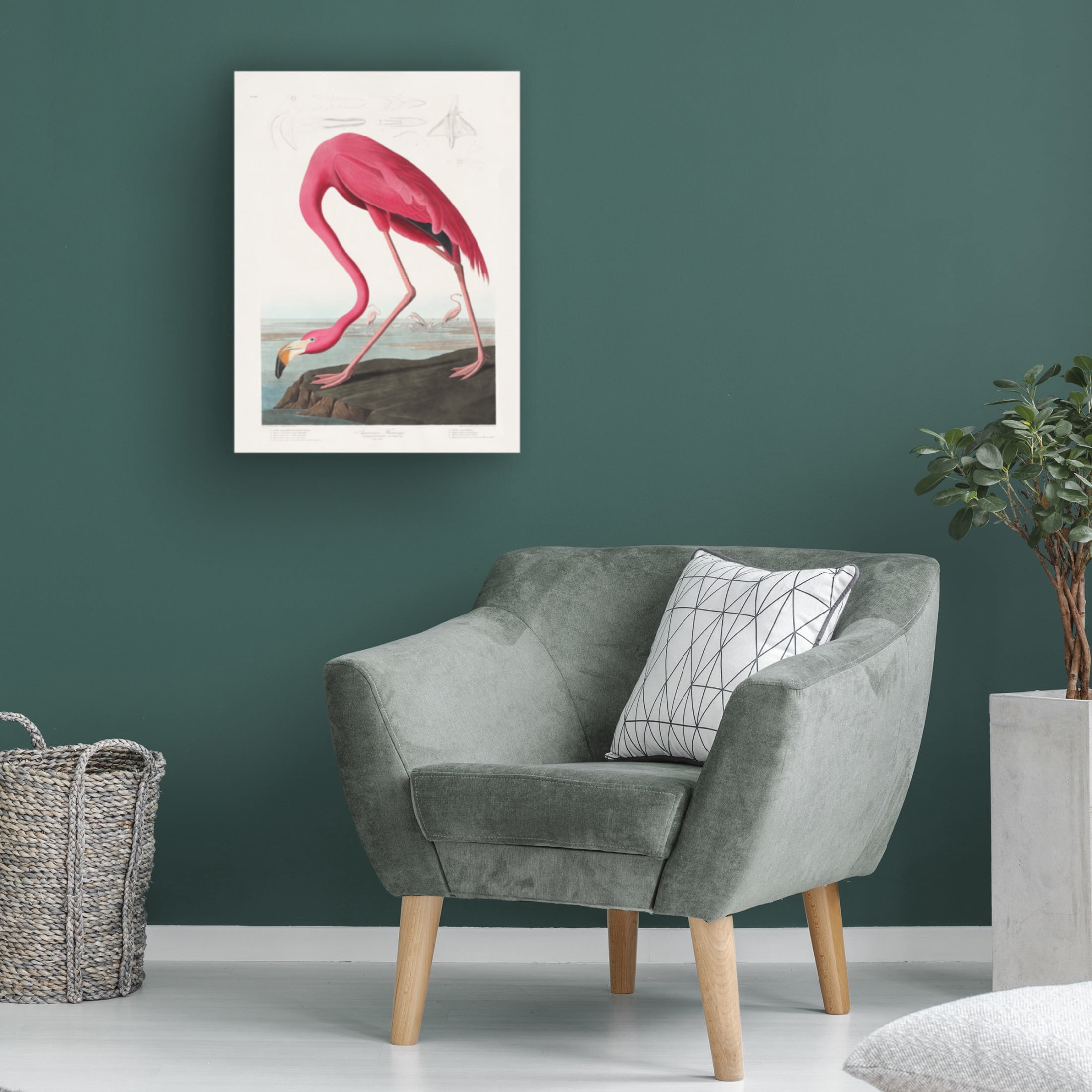 Trademark Fine Art Pictufy   Pink Flamingo From Birds of America 1827 Canvas Wall Art