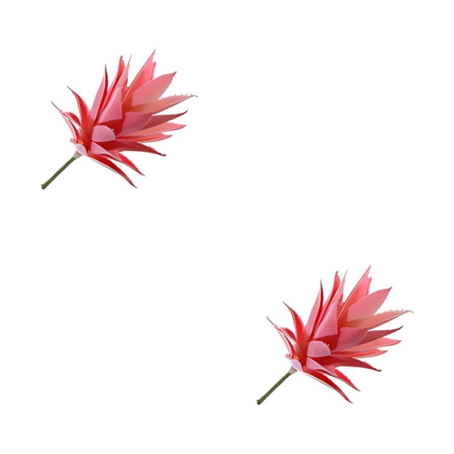 Billuyoard Belleza de suculentas artificiales amigable con la piel sin preocuparse por la planta artificial de irritación Type3 NO3