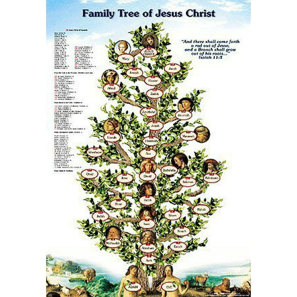 Jesus Family Tree Poster - From Adam to Jesus - Walmart.com - Walmart.com