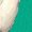 Kelly Green, variant on Inktastic Camouflage Easter Bunny with Eggs Boys or Girls Toddler T-Shirt