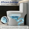 thumbnail image 5 of BCANHOME ADA 17'' Comfort-Height One Piece Toilet, Modern Elongated Toilet Bidet Seat,Soft Closing Seat/Lid,1.14/1.58 GPF Powerful Dual-flush Siphon Jet,Anti-Yellowing,for Bathroom, 12" Rough-In, 5 of 20
