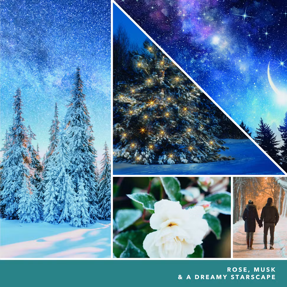 thumbnail image 2 of Yankee Candle Original Large Jar, Winter Night Stars, 22 oz, 2 of 4