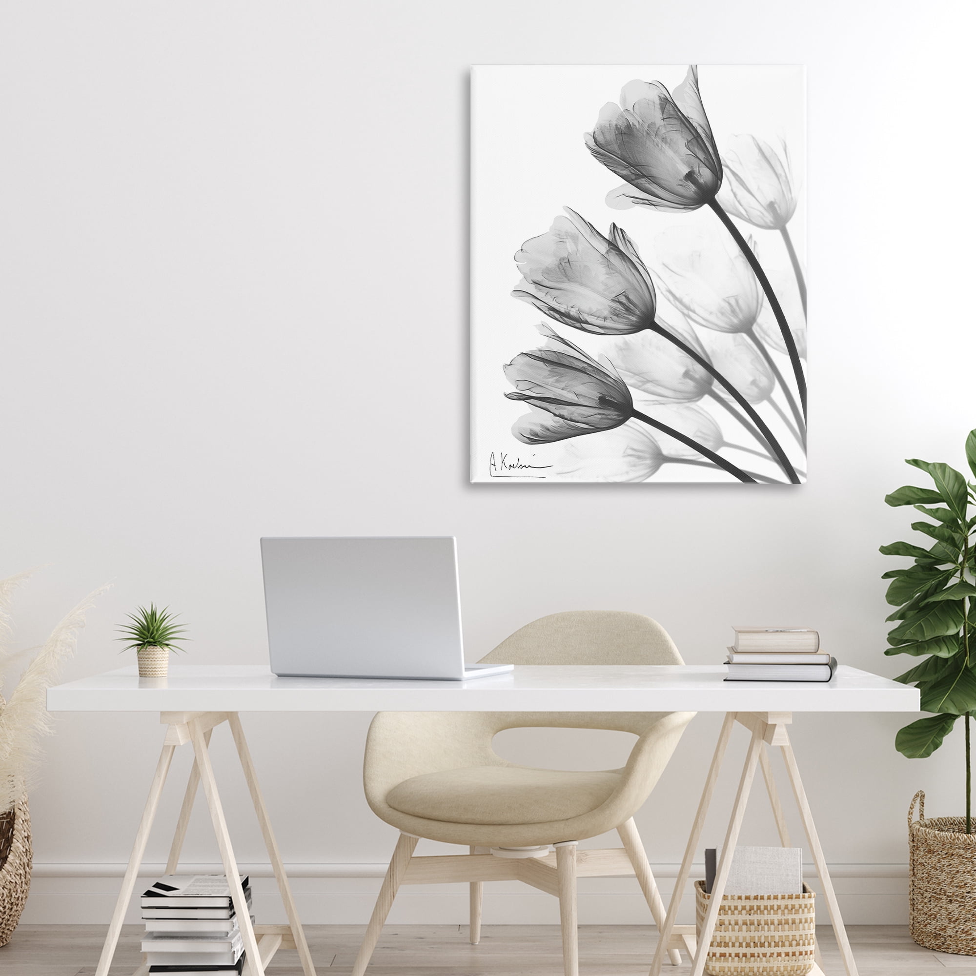 Stupell Industries Minimalist Tulip Fan Canvas Wall Art, design by Albert Koetsier