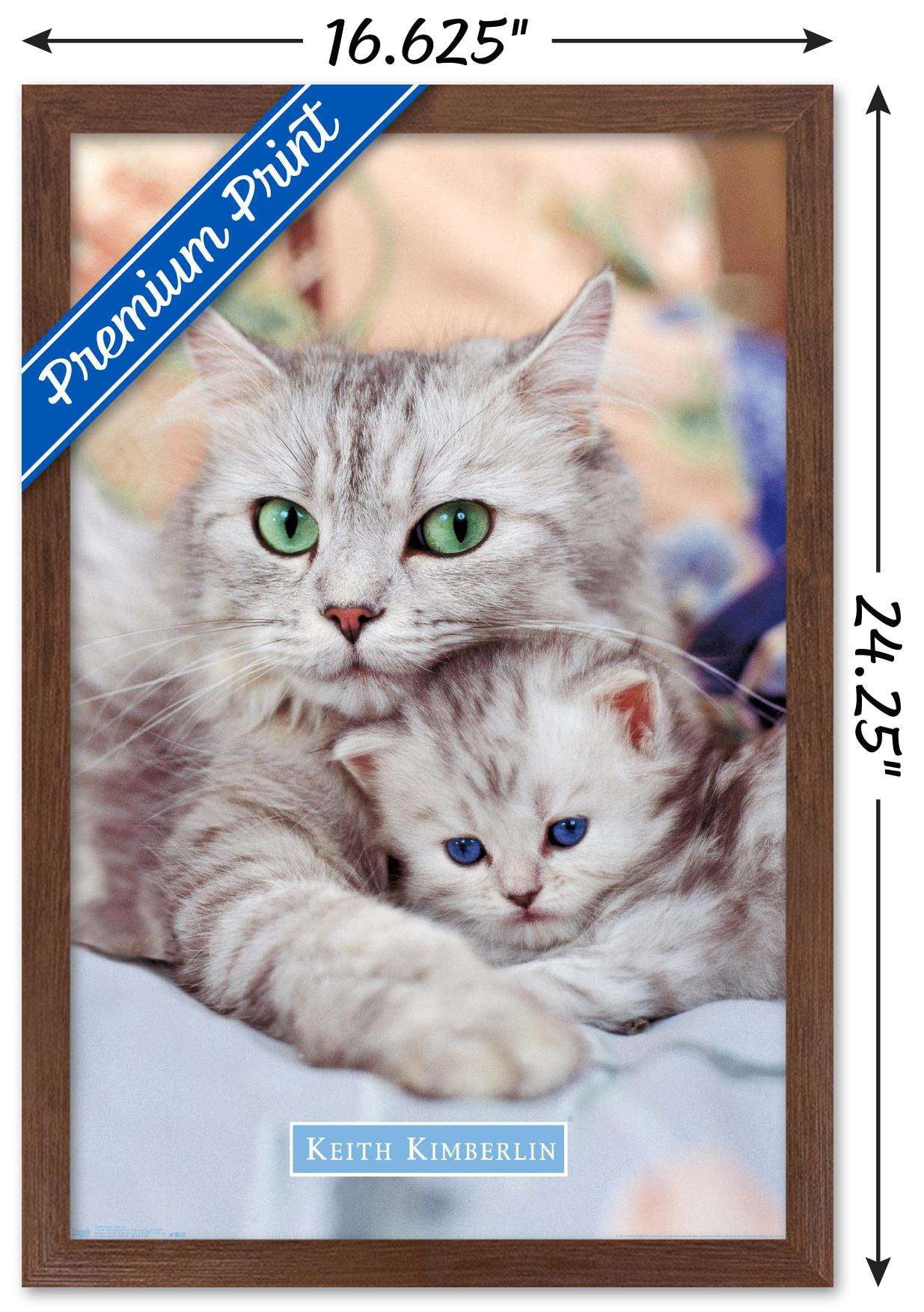 Keith Kimberlin - Momma and Kitten Wall Poster, 14.725" x 22.375", Framed